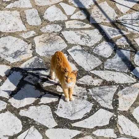 Apaggio Di - Private Parking & Sea View Apartament *