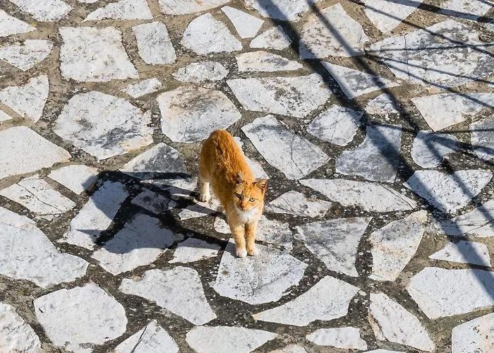 Apaggio Di - Private Parking & Sea View Apartment *